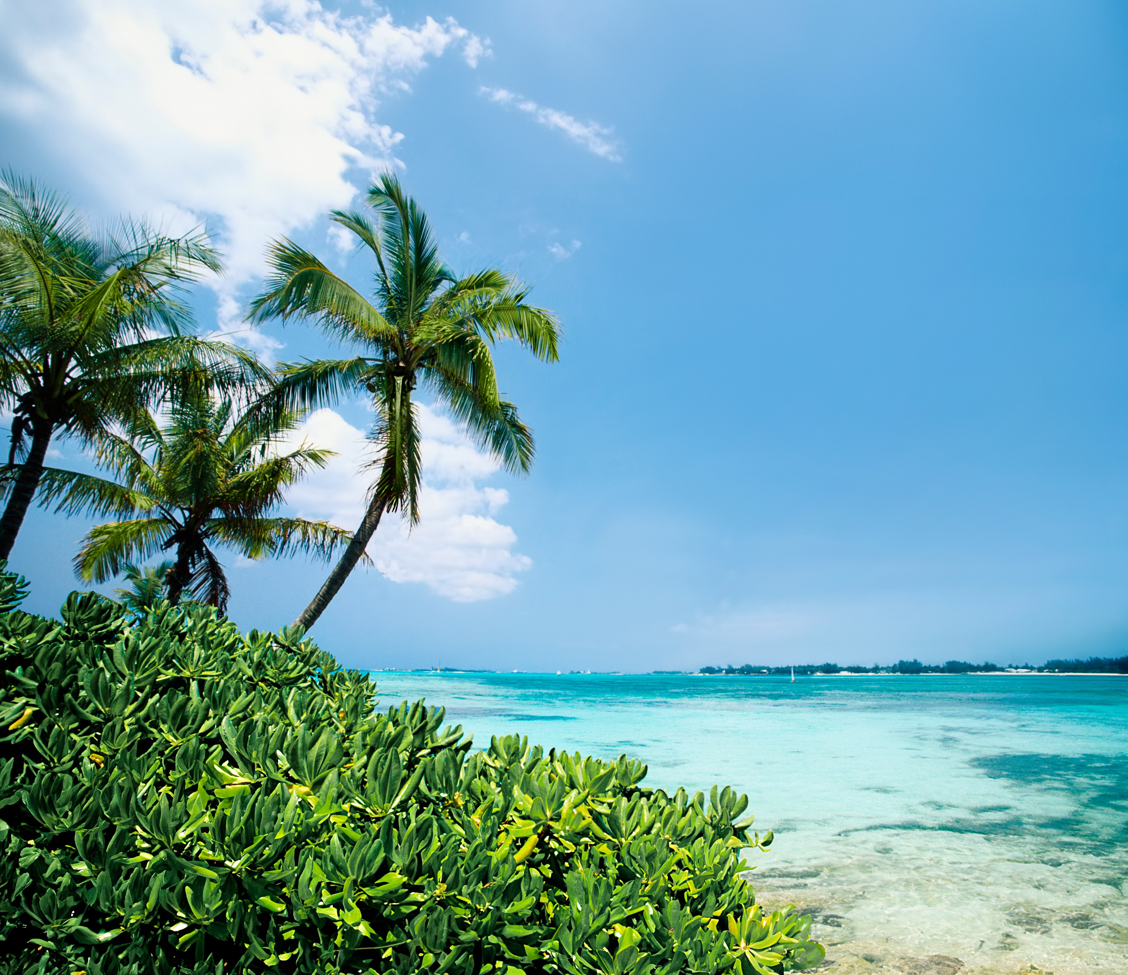 Caribbean Cruises | MSC Cruises